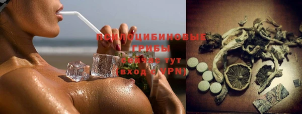 стафф Алзамай