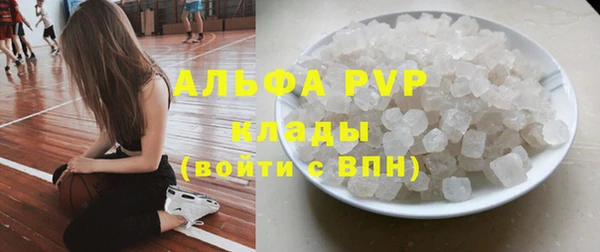 стафф Алзамай