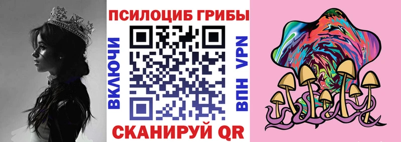 Псилоцибиновые грибы MAGIC MUSHROOMS  купить наркоту  Бабаево 